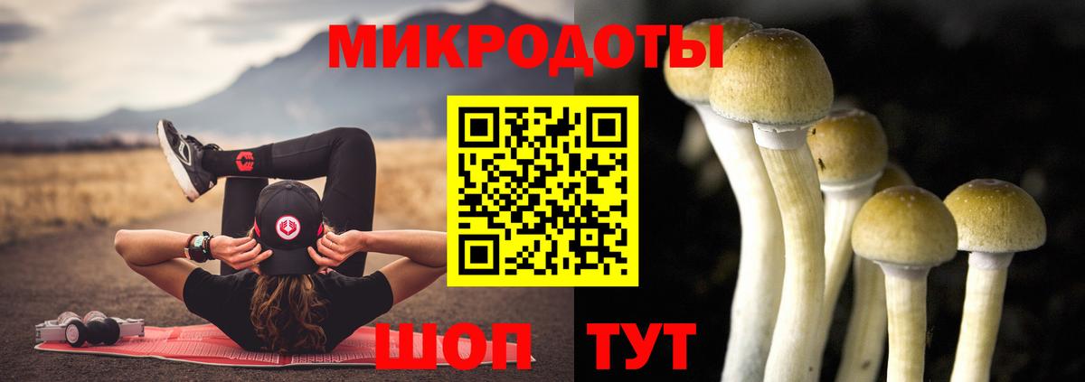 Псилоцибиновые грибы Psilocybe  Вход с VPN  Сертолово 